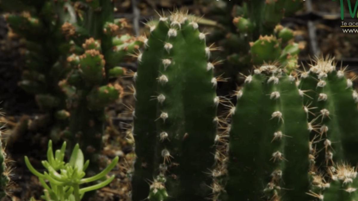 screenshot_34_1_83344000