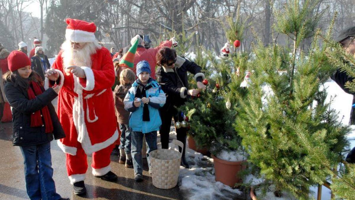 mos_craciun_targ_craciun_dcnews_98932800