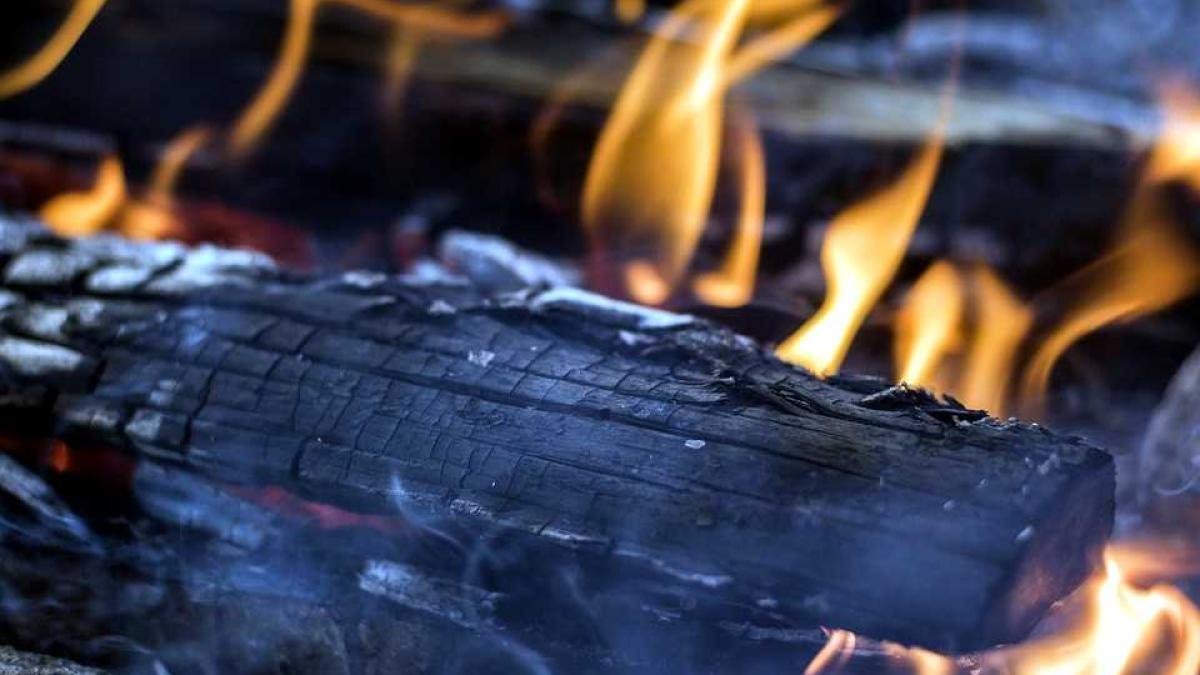 lemne_de_foc_copac_07562500