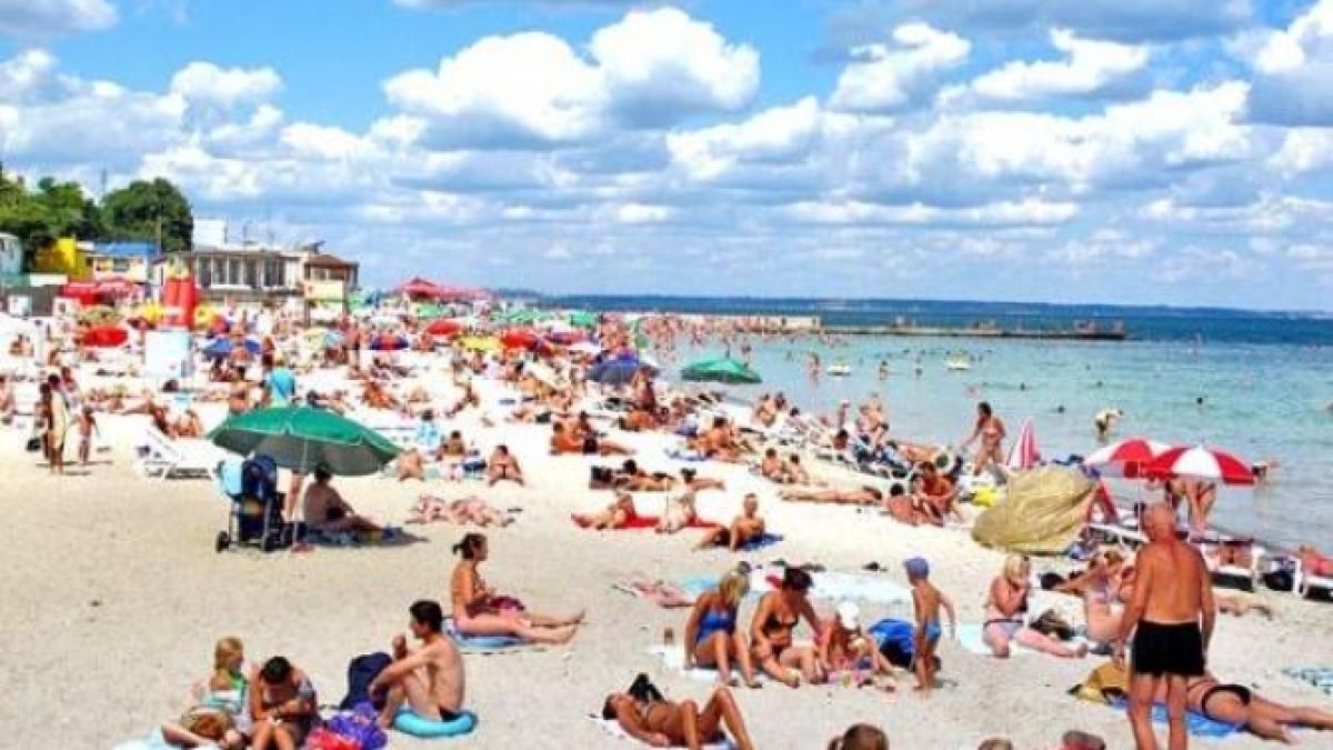 minivacanta_94343900