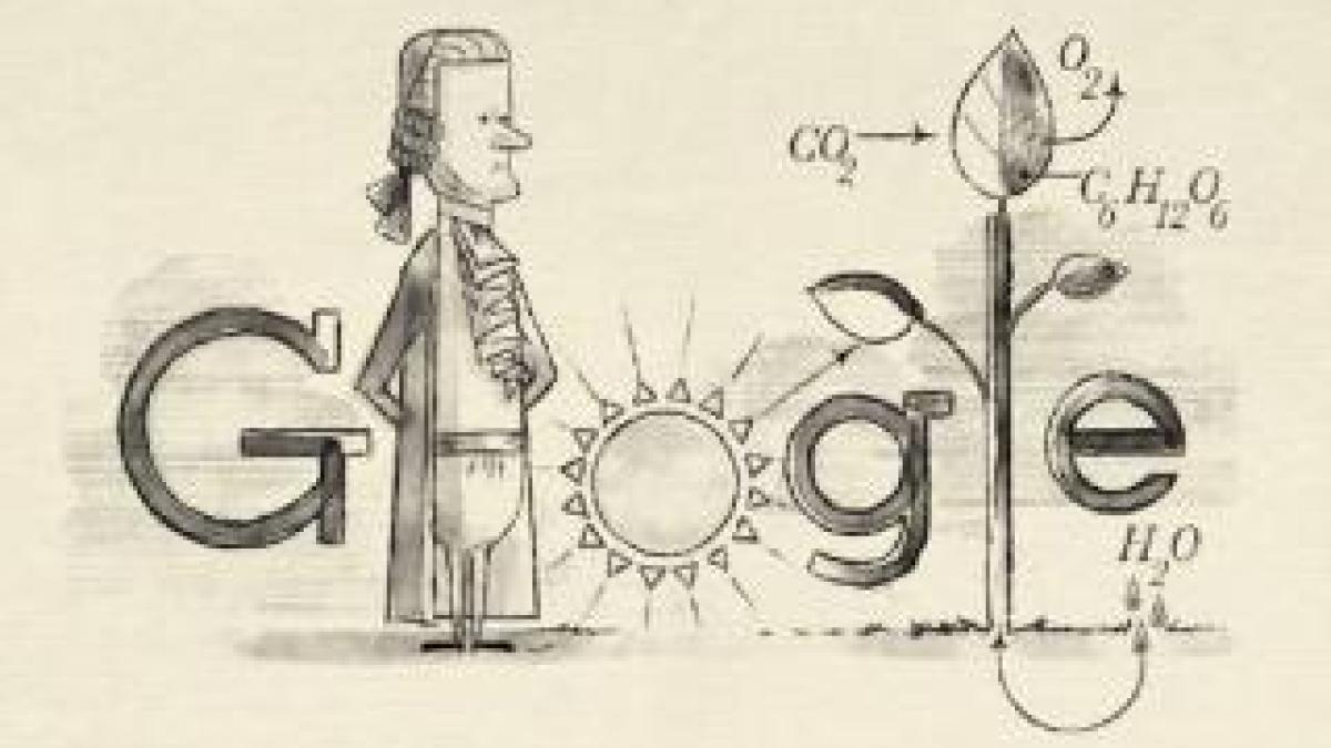 google_doodle_56803000