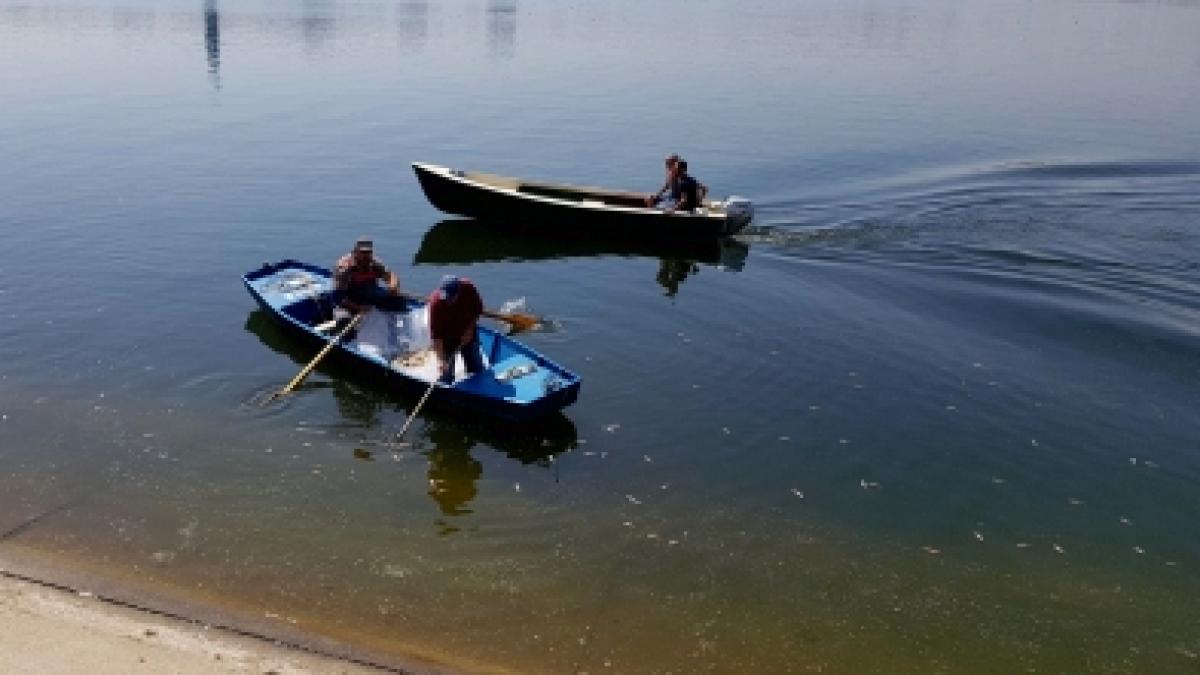 capturaprc-ccprc-86_de_ecran_din_2017_12_14_la_10_24_03_42946900
