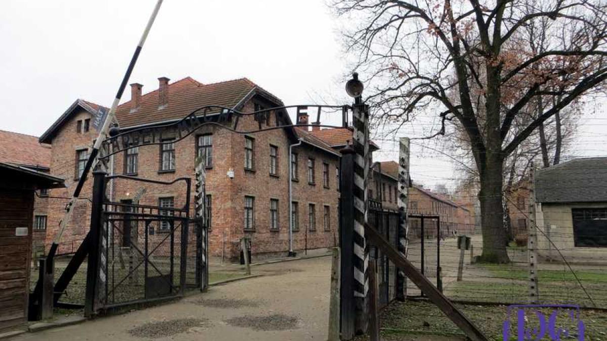auschwitz_1066516_960_720_95291900