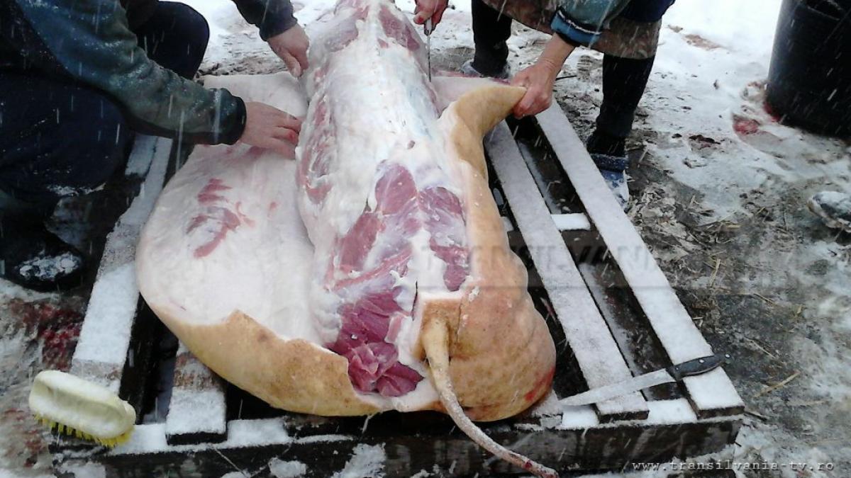 pomana_porcului_74231900