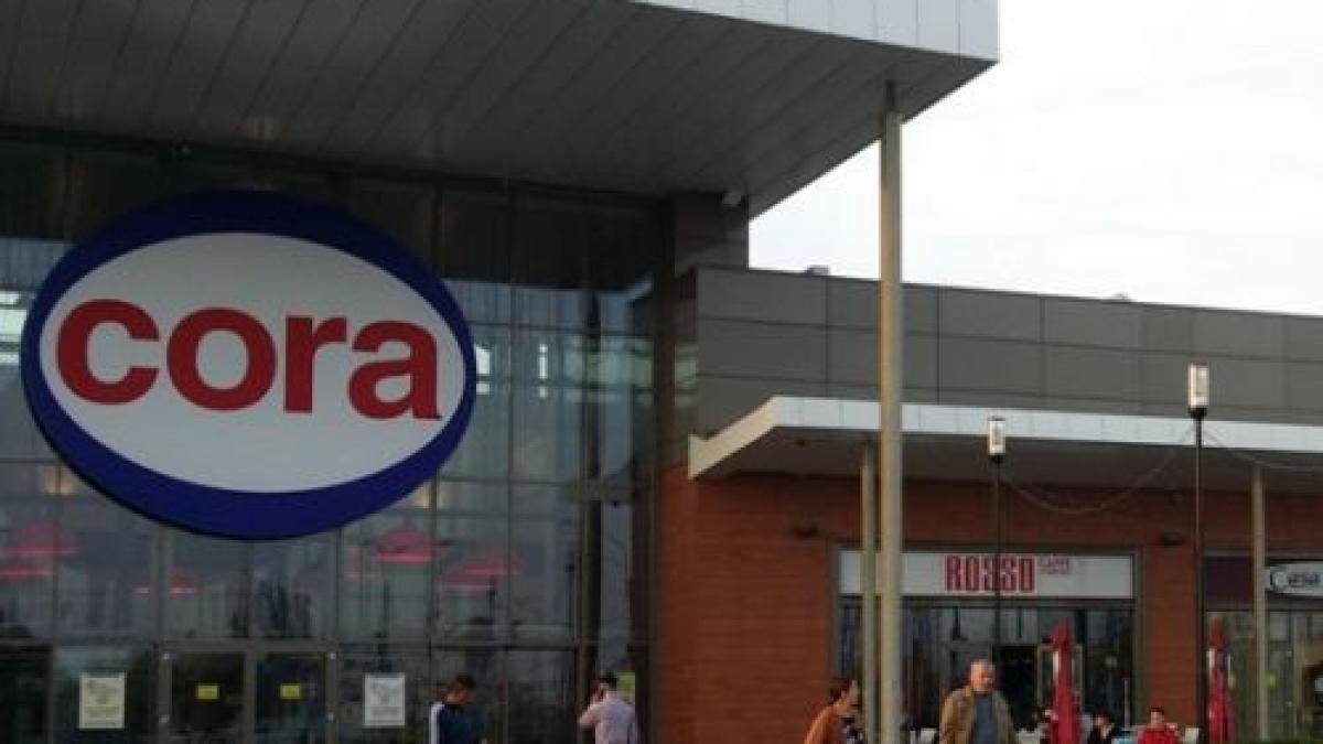 cora_alexandriei_24244700