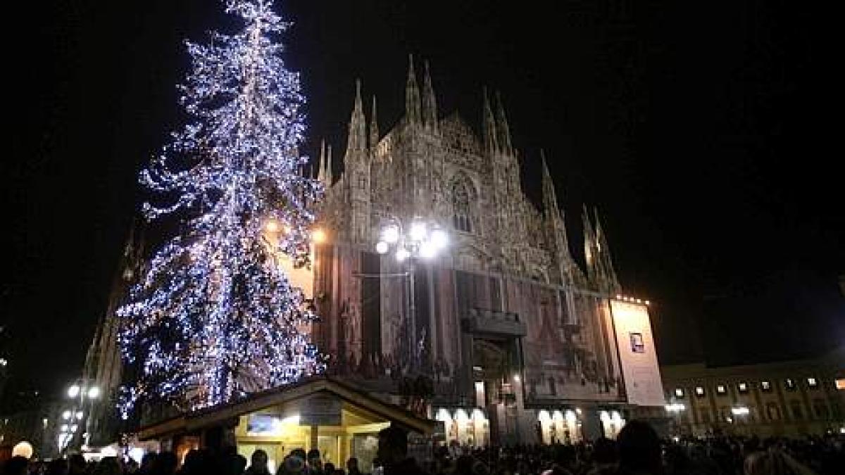 brad_de_craciun_la_milano_87541900