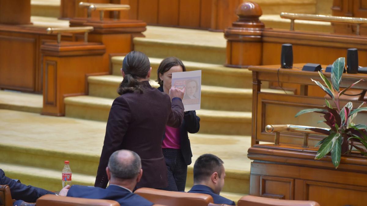 cosette_chichirau_plesoianu_50349900