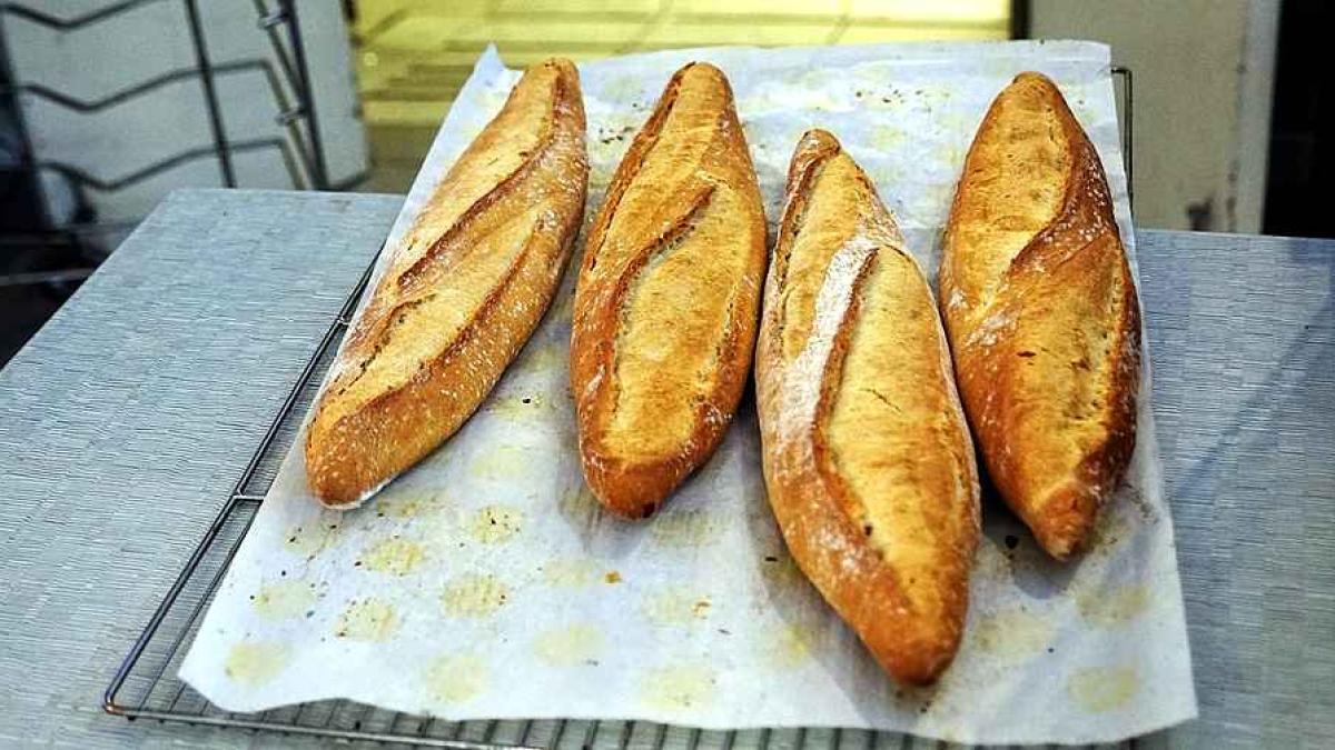 paine_alimente_99408000