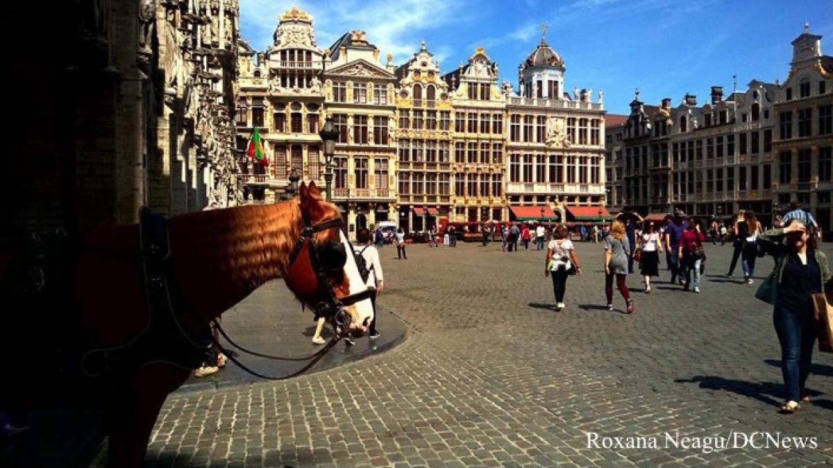 grand_place_bruxelles_13346700