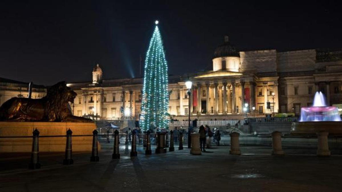 brad_de_craciun_in_trafalguar___square_53895500