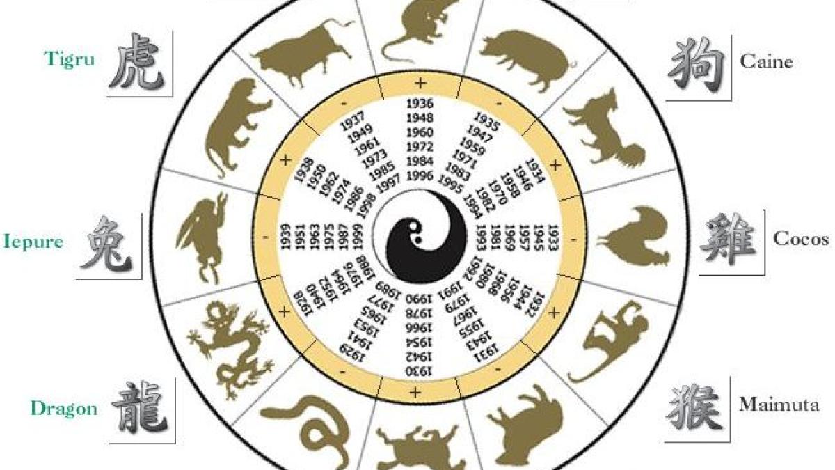 zodiac_chinezesc_42299100