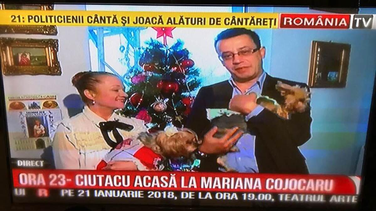 ciutacu_cojocaru_19521700