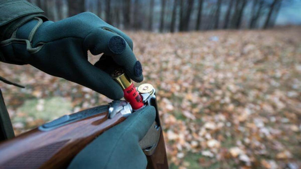 vanatoare_pusca_vanator_dcnews_cartuse_41095600