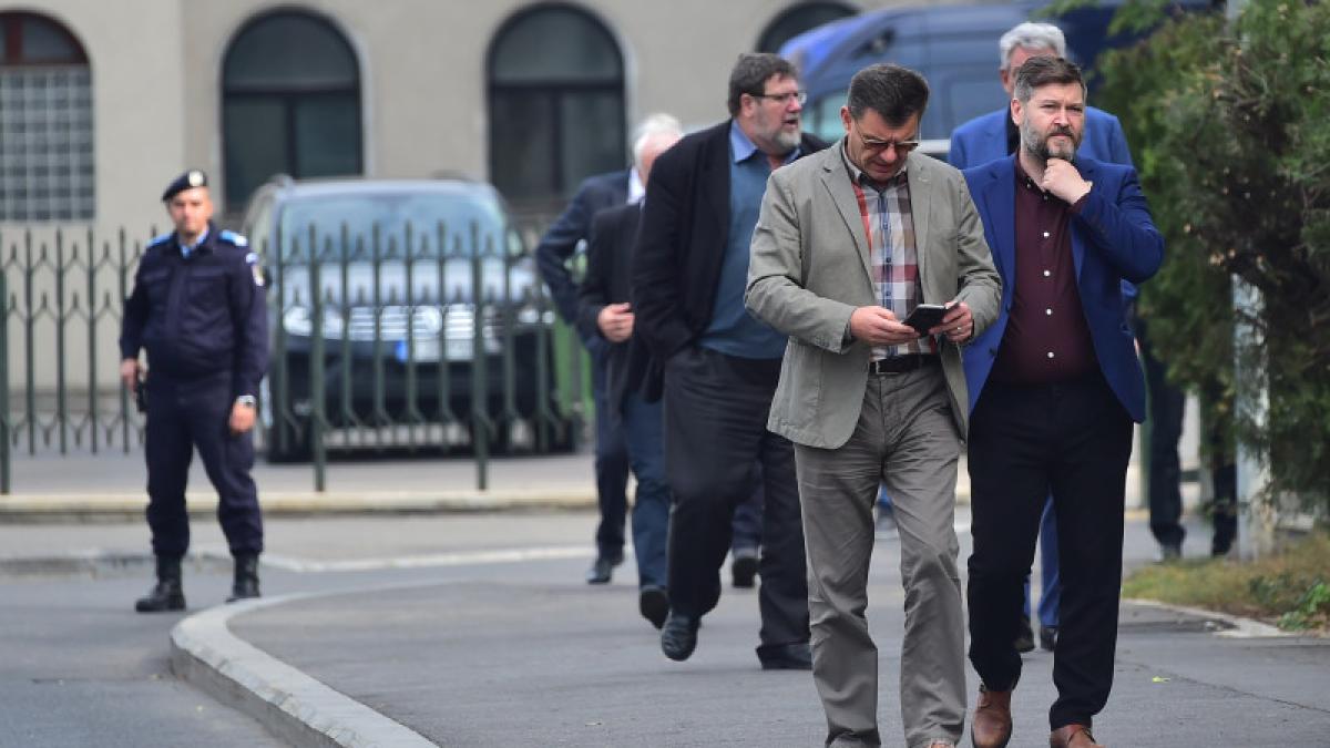 dumitru_coarna_17492400