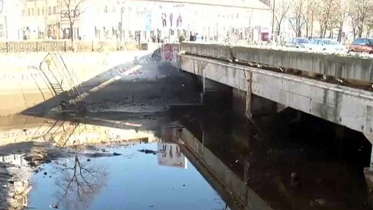 dambovita_colmatare_53881400