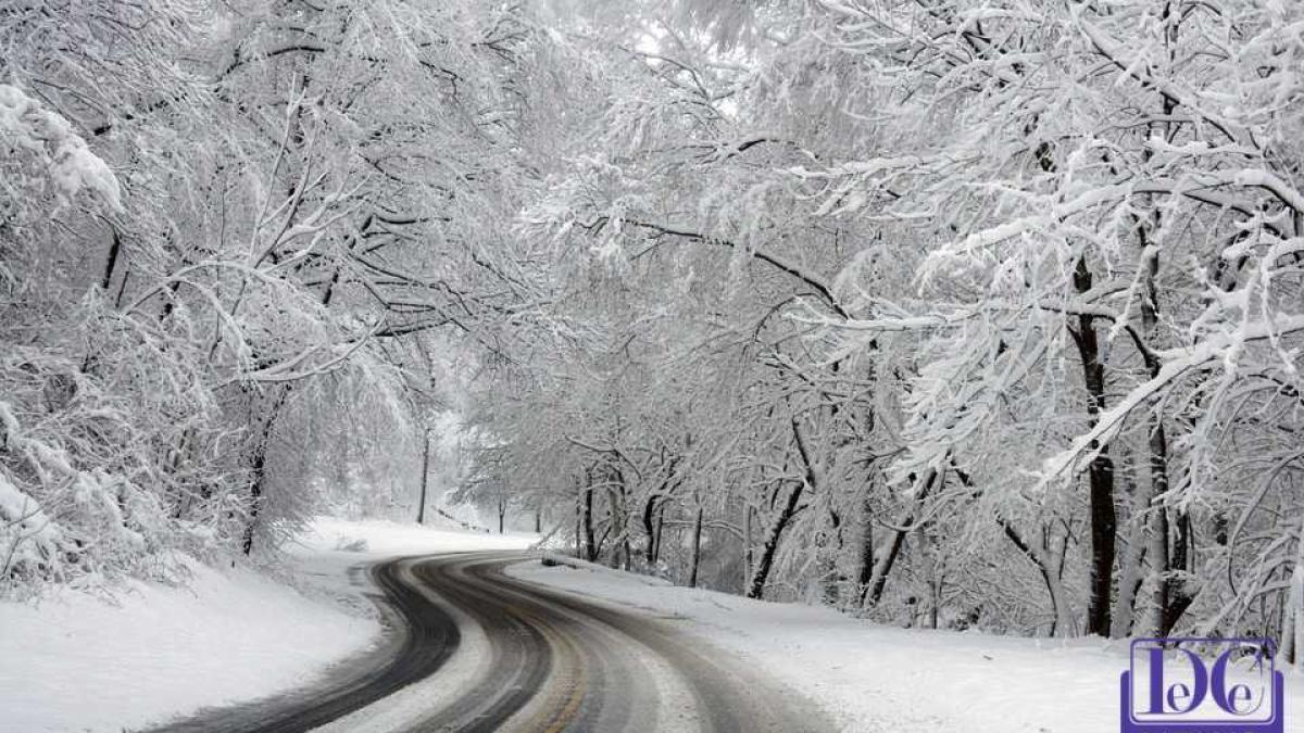 ninsoare_vant_zapada_copaci_drum_sosea_08117900