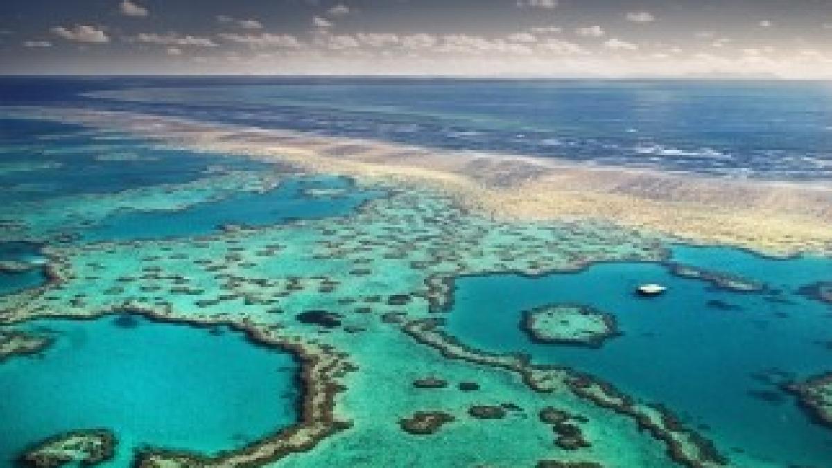 marea-bariera-de-corali