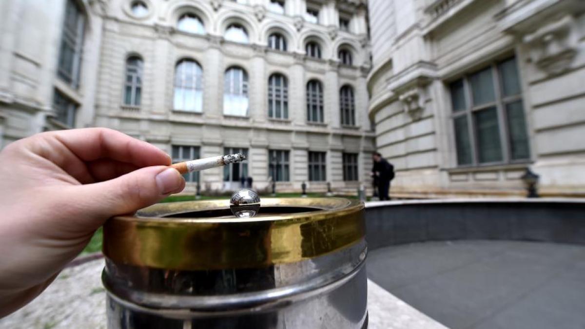 fumat_tigari_51199900