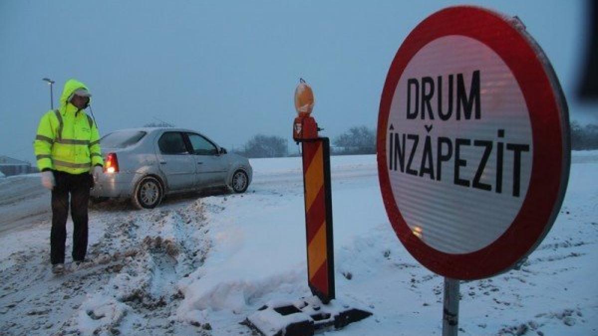 viscol_ninsori_drum_27546900