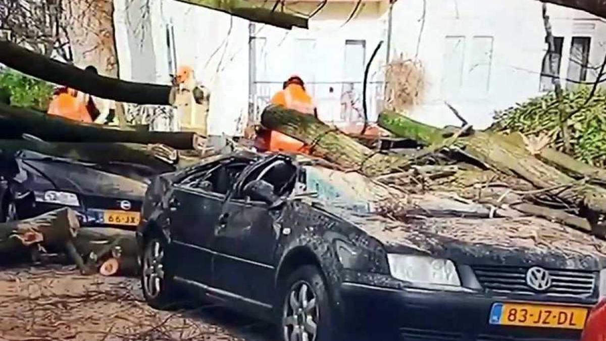 furtuna_germania_frederick_62270500