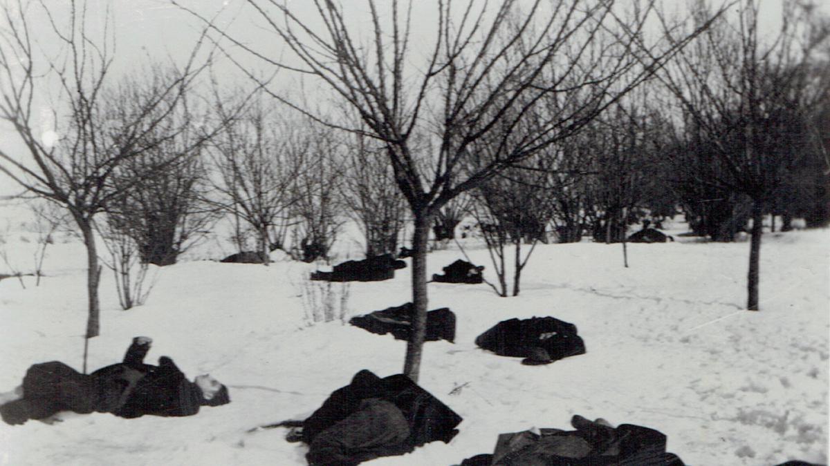 pogrom_bucuresti_02223100