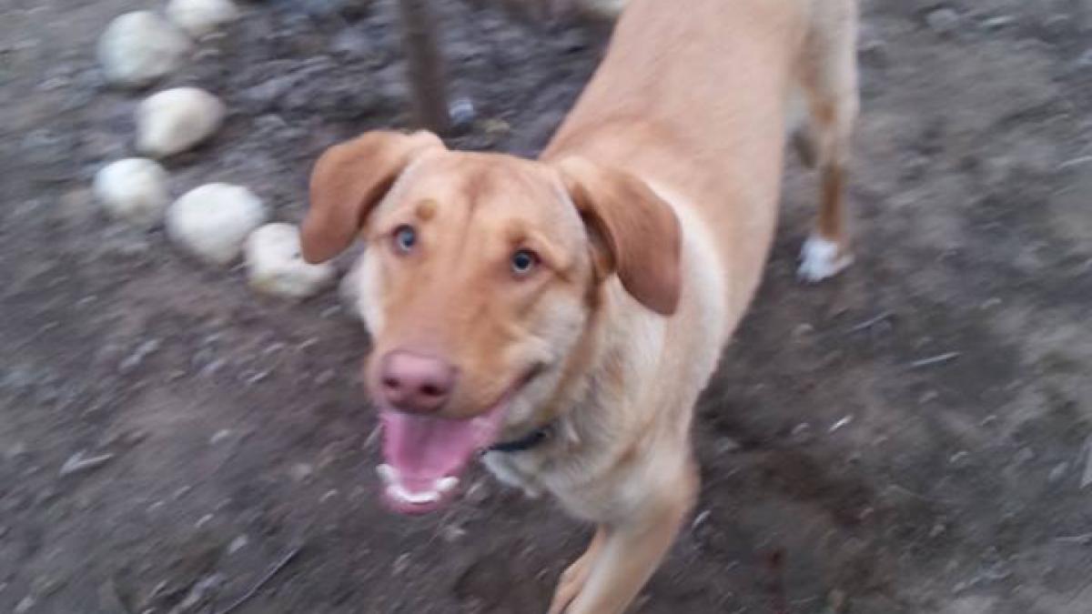 1017725_10201744462113626_1785282669_n_80765200