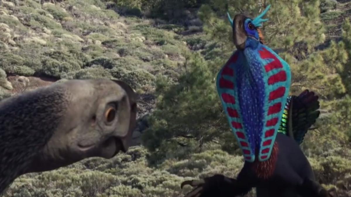 dans_ritualic_dinozaur_07387500