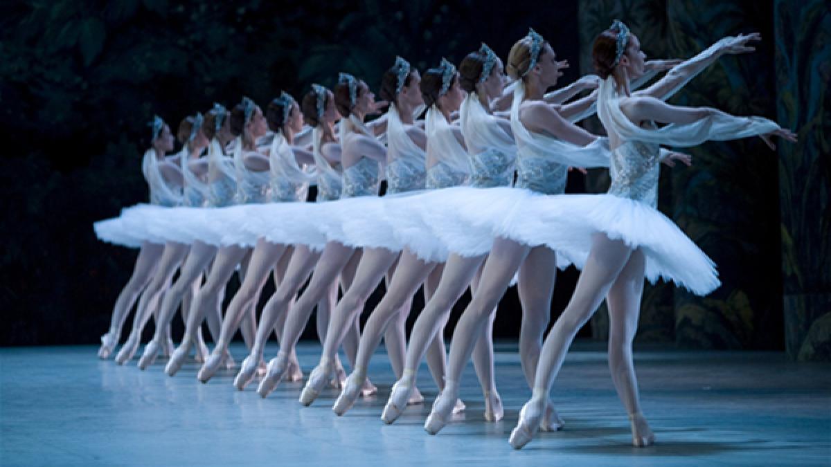 lacul_lebedelor_22385600