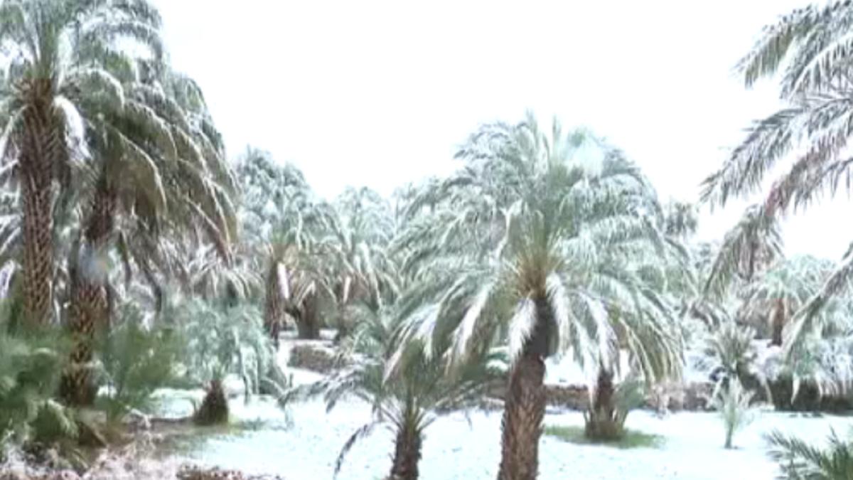 screen_shot_2018_02_01_at_1_12_50_pm_21488800