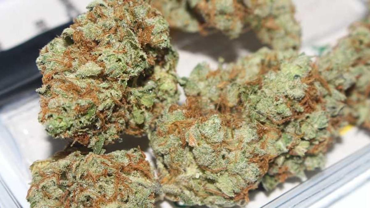 cannabis_crud_02675800