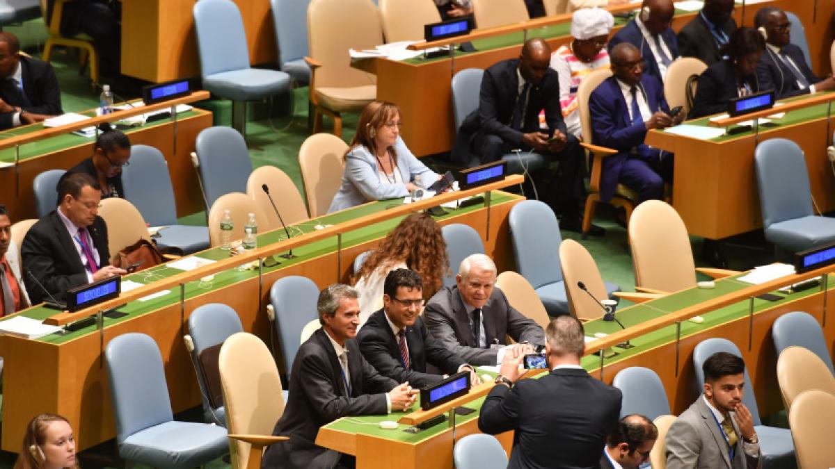 teodor_melescanu_08875900