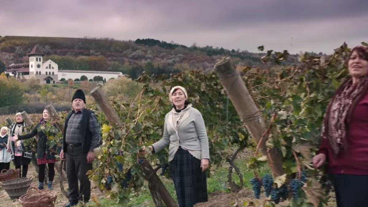 tarani_purcari_02263400