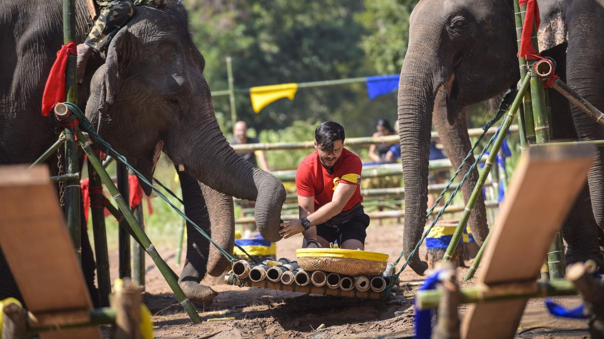 asia_express_diana_oros_22600200