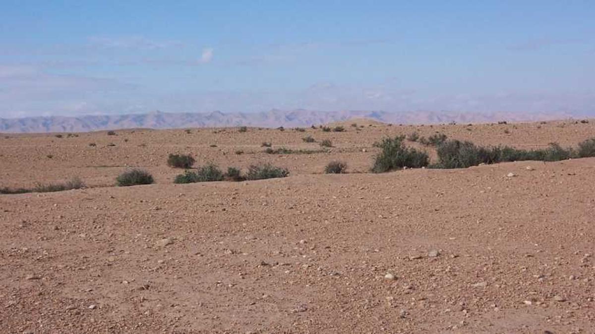 seceta_desert_nisip_84711900