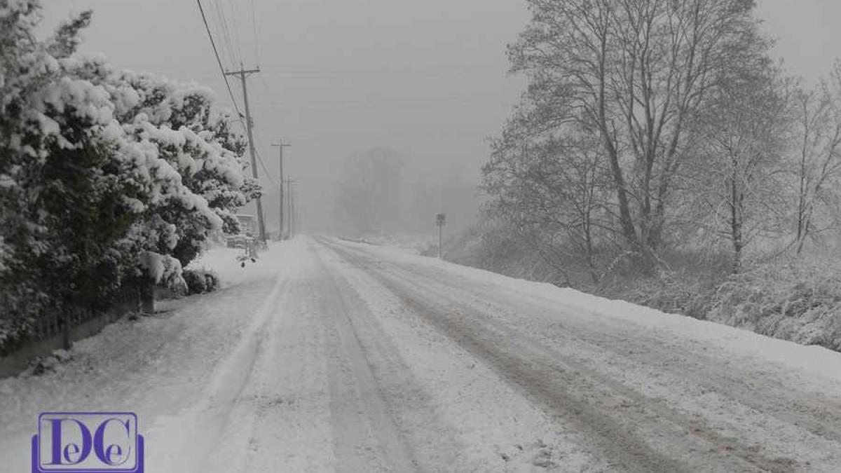 sosea_zapada_iarna_viscol_58838800