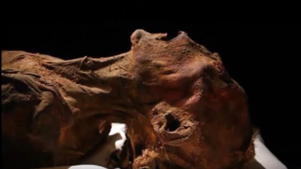 mumia_care_tipa_12662200