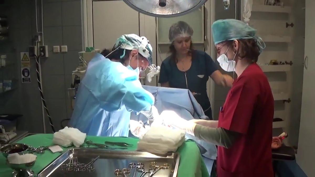 circumcizie_42384000