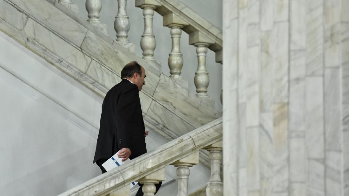 tudorel_toader__tudorel_toader_82094800