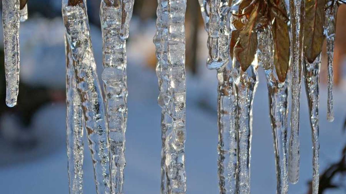 inghet_frig_iarna_88696300