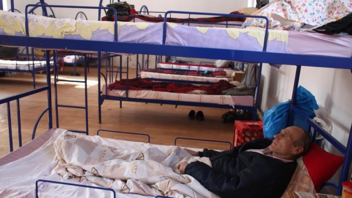 pesoane_fara_adapost_61557500