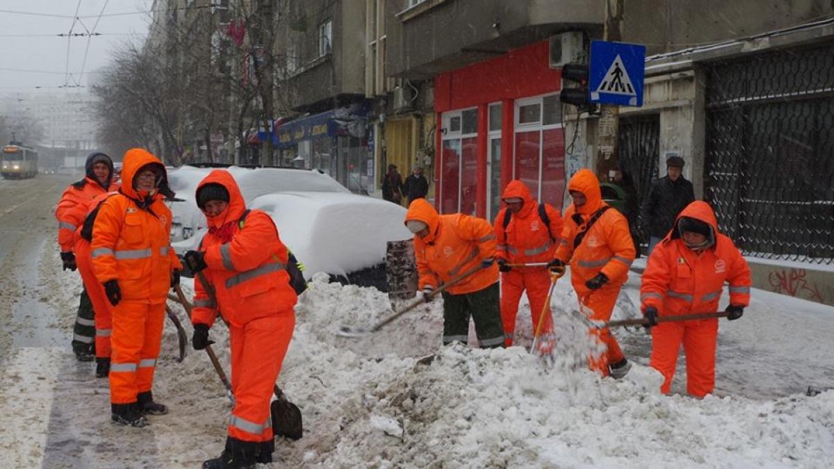 deszapezire_60843600