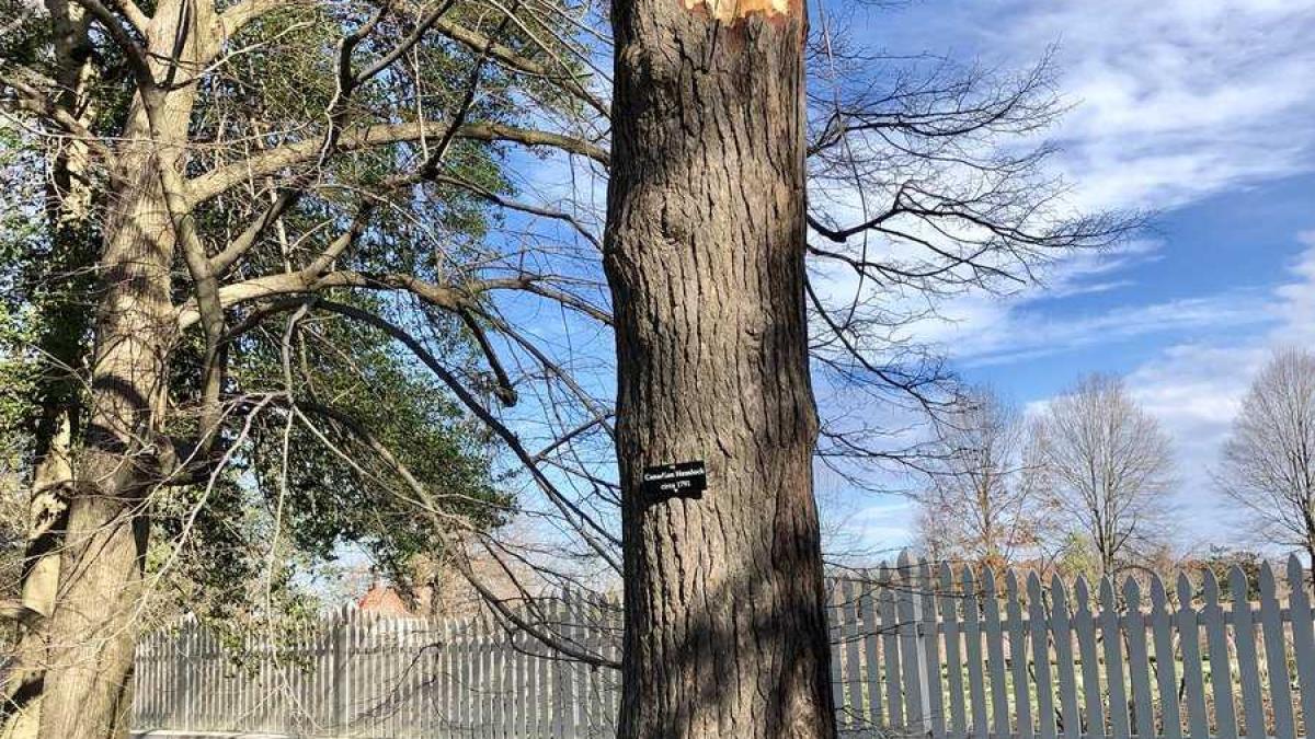 copac_washington_31819300