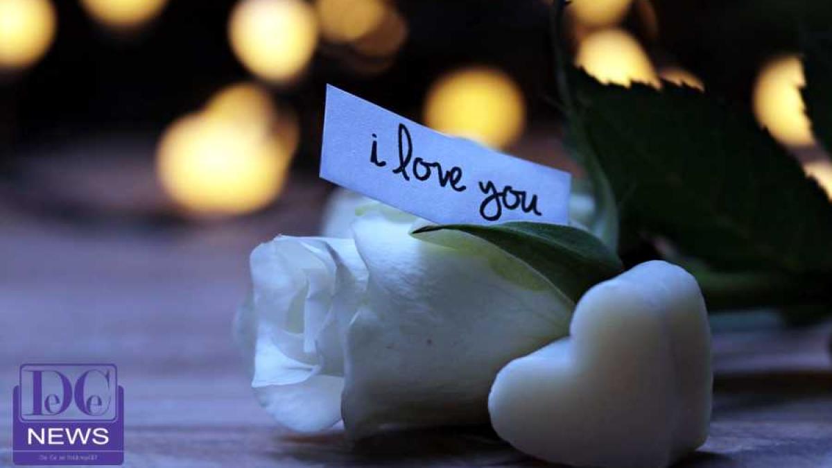 valentines_day_floare_mesaj_77902300