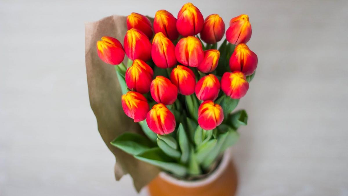 felicitari_de_8_martie_pentru_mame_sfatulparintilor_ro_pixabay_com_tulips_1228319_1920_1400x850_62375600