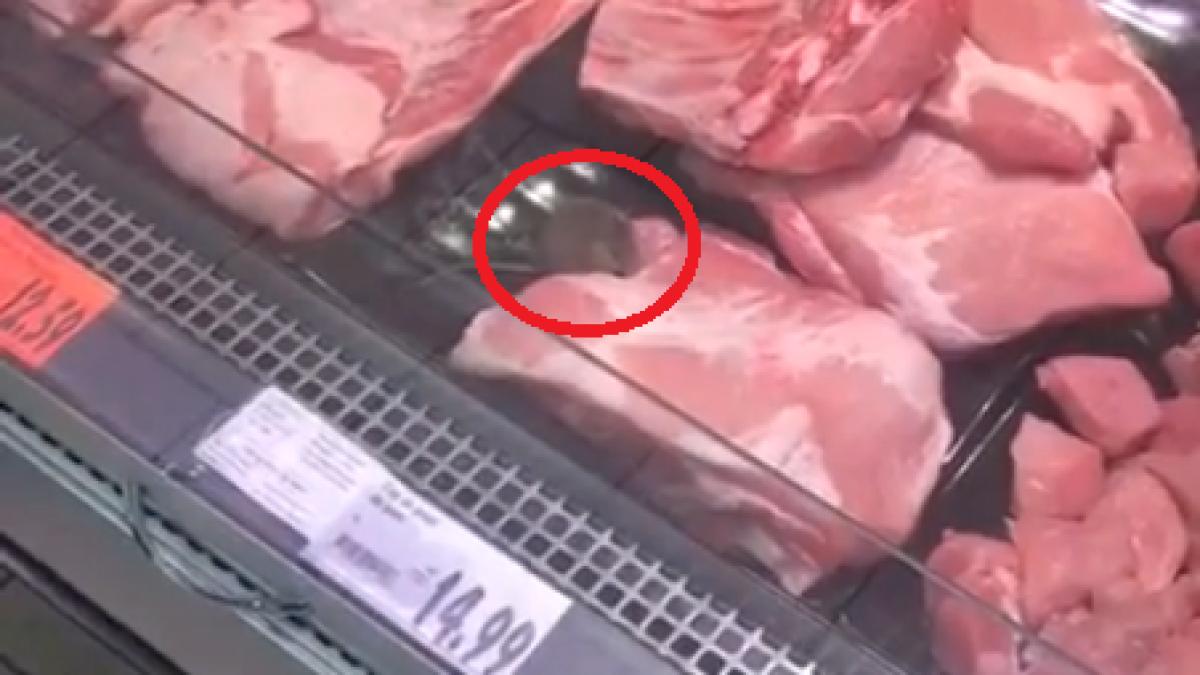 soarece_kaufland_63567700