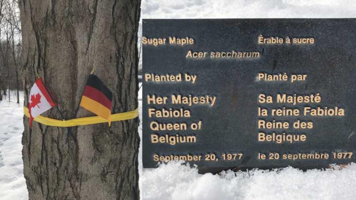 copabelgdanc_58003900