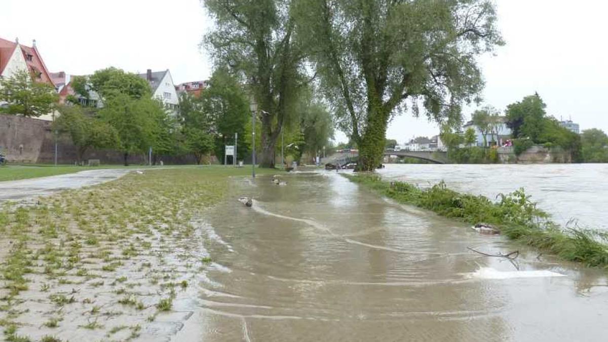 inundatii_apa_copaci_66233600