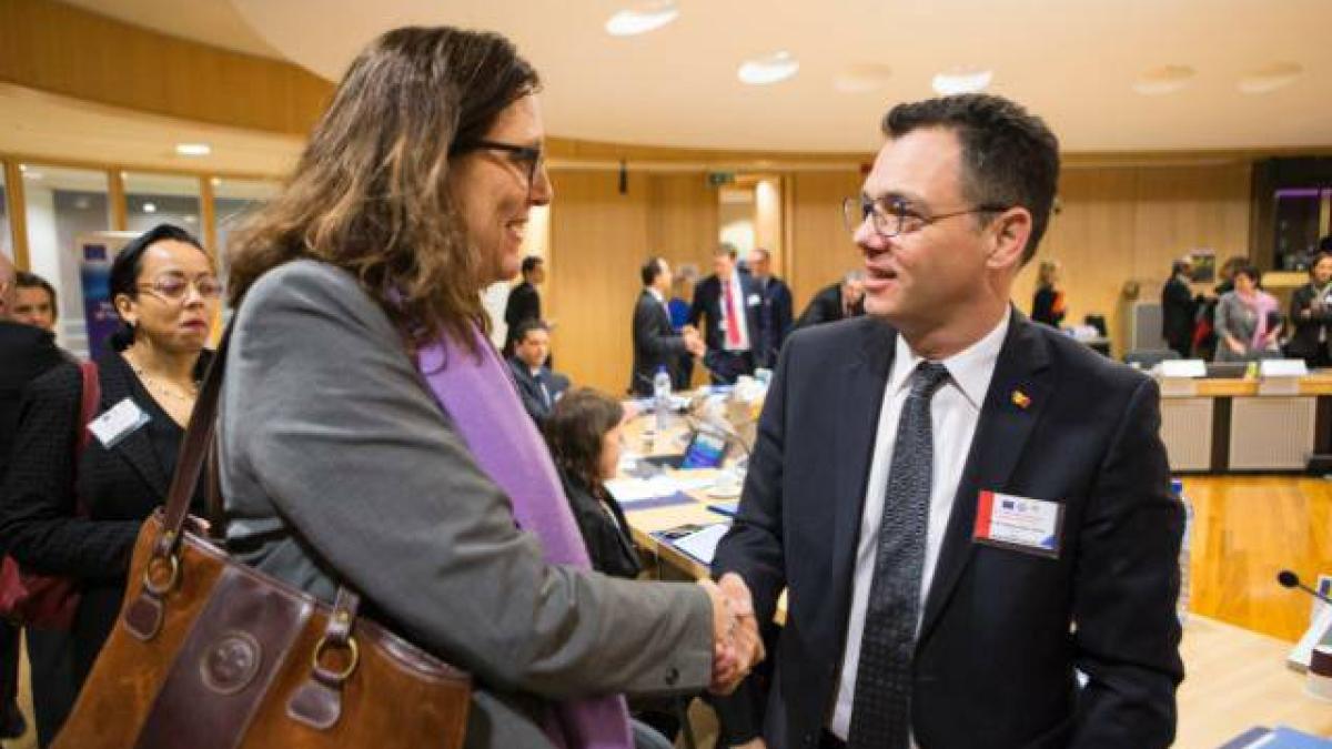 stefan_radu_oprea_03256100