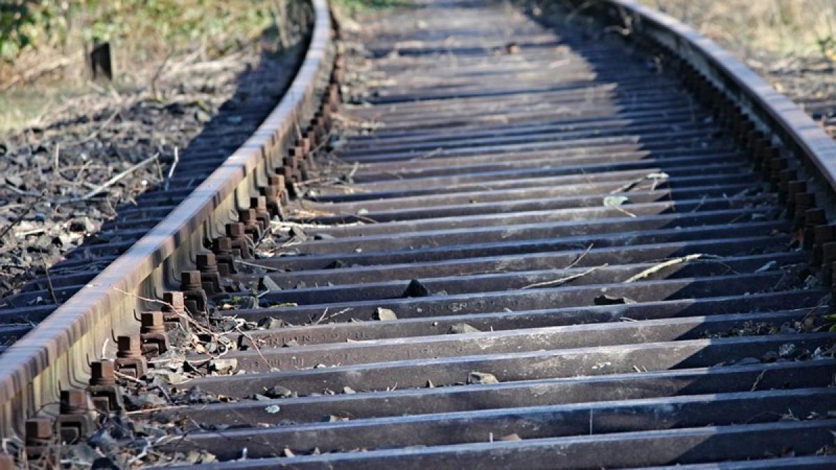 tren_sina_cfr_cale_ferata_18196400