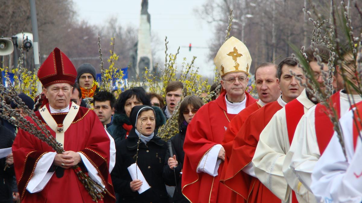 florii_catolici_16787500